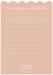 90 Day Planner - Wave Peach