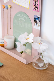 90 Day Planner - Arch Green